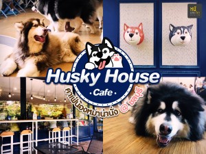 Husky House Cafe  คาเฟ่น้องหมาน่านั่ง